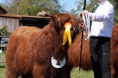 187-4-a-MC-Neill-vom-Buersteler-Feld-Andreas-Czich-Stuhr-17