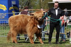 188-23-e-Marvel-vom-Kleeverblatt-Mario-Mueller-Oyten