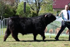 191-24-c-Sam-vom-Westerhof-Finn-Schultz-Hollen-7