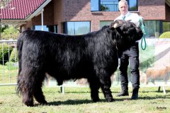 193-22-a-Conall-vom-Buersteler-Feld-Andreas-Czich-Stuhr-3