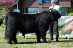 194-22-a-Conall-vom-Buersteler-Feld-Andreas-Czich-Stuhr-4