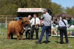 195-21-d-Olymp-3.-vom-Diebeskamm-Herbert-Diers-Bassum