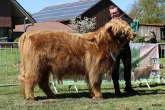 197-23-e-Marvel-vom-Kleeverblatt-Mario-Mueller-Oyten-4