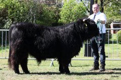 199-24-c-Sam-vom-Westerhof-Finn-Schultz-Hollen-8