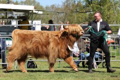 200-23-e-Marvel-vom-Kleeverblatt-Mario-Mueller-Oyten-5