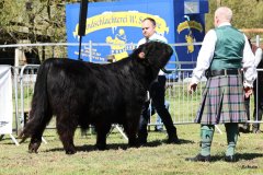 201-24-c-Sam-vom-Westerhof-Finn-Schultz-Hollen-9