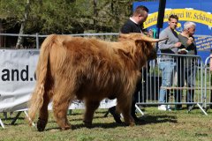 203-23-e-Marvel-vom-Kleeverblatt-Mario-Mueller-Oyten-2