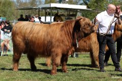 204-21-d-Olymp-3.-vom-Diebeskamm-Herbert-Diers-Bassum-2