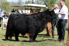 205-24-c-Sam-vom-Westerhof-Finn-Schultz-Hollen-12