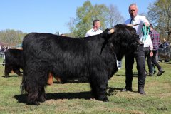 206-22-a-Conall-vom-Buersteler-Feld-Andreas-Czich-Stuhr-5