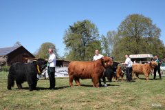 208-Bullen-Klasse-2-2