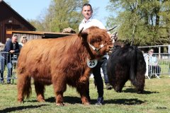 209-25-b-Jeffersen-vom-Zockeldraff-Manfred-Heinz-Scholen-3