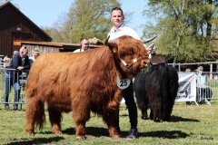 210-25-b-Jeffersen-vom-Zockeldraff-Manfred-Heinz-Scholen-4