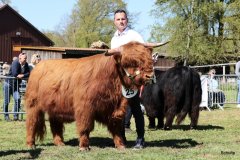 211-25-b-Jeffersen-vom-Zockeldraff-Manfred-Heinz-Scholen-5