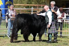 213-29-a-Alexander-vom-Nordlicht-Karl-Heinrich-Winter-Bad-Berleburg