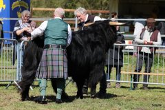 214-29-a-Alexander-vom-Nordlicht-Karl-Heinrich-Winter-Bad-Berleburg-2