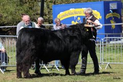 215-29-a-Alexander-vom-Nordlicht-Karl-Heinrich-Winter-Bad-Berleburg-3