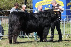 216-29-a-Alexander-vom-Nordlicht-Karl-Heinrich-Winter-Bad-Berleburg-4