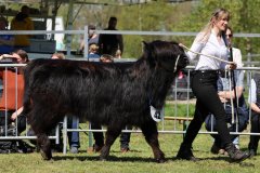 272-42-a-Black-Dossan-6.-von-Heise-Familie-Beduerftig-Beverstedt-Hollen