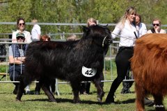 273-42-a-Black-Dossan-6.-von-Heise-Familie-Beduerftig-Beverstedt-Hollen-2