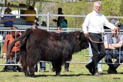 275-44-e-Ylvy-of-Eekkeloh-Ferdinand-Marschalk-Elmlohe