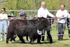 276-44-e-Ylvy-of-Eekkeloh-Ferdinand-Marschalk-Elmlohe-2