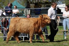 278-39-c-Adriane-vom-Stuehrener-Berg-Herbert-Diers-Bassum-3