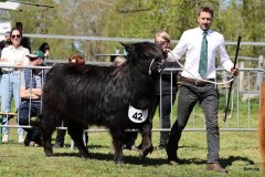 280-42-a-Black-Dossan-6.-von-Heise-Familie-Beduerftig-Beverstedt-Hollen-3