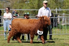 281-43-d-Alice-von-der-Egge-Chr.-u.-St.-Brand-Brands-Hof-GbR-Rinteln-Volksen-2