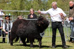 282-44-e-Ylvy-of-Eekkeloh-Ferdinand-Marschalk-Elmlohe-3