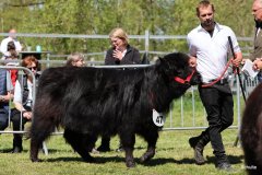 283-47-f-Rosalie-Dubh-vom-Habershof-Marian-Habers-Neuenhaus-2