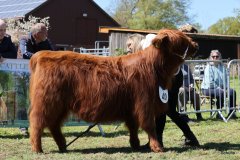 284-40-b-Carla-Beg-von-Heise-Familie-Beduerftig-Beverstedt-Hollen-4