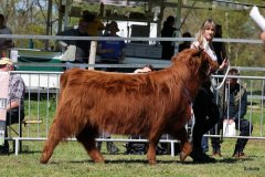 287-40-b-Carla-Beg-von-Heise-Familie-Beduerftig-Beverstedt-Hollen-7