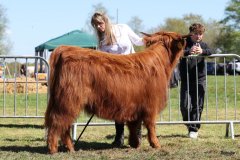 289-27910-d-Varus-vom-Foerdewald-Dirk-Mitzkus-Flensburg-Engelsby6A1654