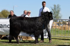 290-42-a-Black-Dossan-6.-von-Heise-Familie-Beduerftig-Beverstedt-Hollen-4