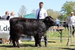 291-42-a-Black-Dossan-6.-von-Heise-Familie-Beduerftig-Beverstedt-Hollen-5