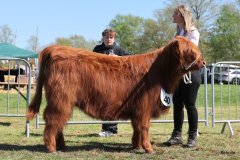 292-40-b-Carla-Beg-von-Heise-Familie-Beduerftig-Beverstedt-Hollen-8