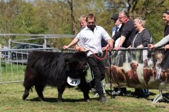 295-47-f-Rosalie-Dubh-vom-Habershof-Marian-Habers-Neuenhaus-3