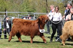 297-40-b-Carla-Beg-von-Heise-Familie-Beduerftig-Beverstedt-Hollen-10