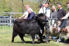 299-42-a-Black-Dossan-6.-von-Heise-Familie-Beduerftig-Beverstedt-Hollen-6