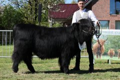 2_109-12-f-Cameron-Focx-of-Blocken-Norbert-u.-Ute-Hilgemeier-Diepenau-3