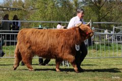 2_433-74-e-Arianna-Og-vom-Isenbeck-Anke-u.-Helmut-Heuer-Jungemann-Nienwohlde-3