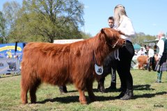 300-40-b-Carla-Beg-von-Heise-Familie-Beduerftig-Beverstedt-Hollen-12