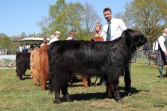 303-42-a-Black-Dossan-6.-von-Heise-Familie-Beduerftig-Beverstedt-Hollen-7