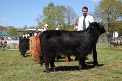 304-42-a-Black-Dossan-6.-von-Heise-Familie-Beduerftig-Beverstedt-Hollen-8