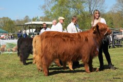 305-40-b-Carla-Beg-von-Heise-Familie-Beduerftig-Beverstedt-Hollen-14
