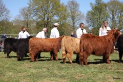 306-Faersen-Klasse-4a-2