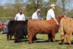 307-Faersen-Klasse-4a-3