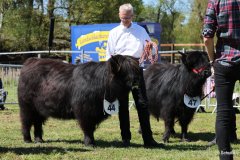 313-44-e-Ylvy-of-Eekkeloh-Ferdinand-Marschalk-Elmlohe-4