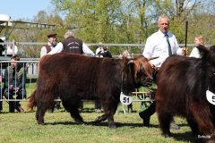 315-51-b-Venus-vom-Buersteler-Feld-Andreas-Czich-Stuhr